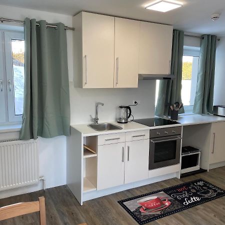 Mountain View Apartment Рамзау Экстерьер фото